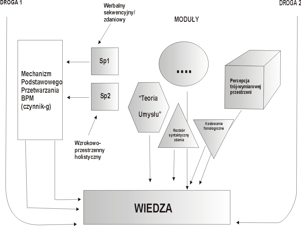 Teoria minimalnej poznawczej mikrostruktury Rysunek 3 pokazuje główne zmienne tzw. minimalnej poznawczej mikrostruktury procesu przetwarzania liczby