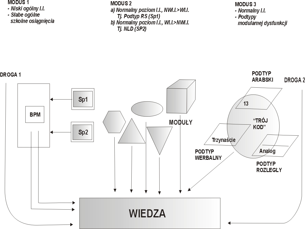 Teoria minimalnej poznawczej struktury a zaburzenia liczenia Rysunek 4 ilustruje podtypy dyskalkulii w kontekście teorii minimalnej poznawczej struktury
