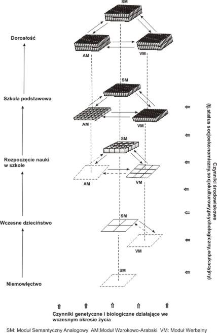 Model genetyczno-środowiskowo-rozwojowy dyskalkulii Rysunek 5 obrazuje zmienne dotyczące symptomatologii, etiologii dyskalkulii